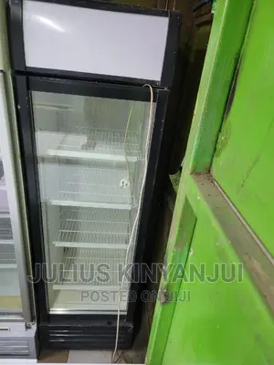 Display Fridge 450l