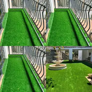 Grass Carpet Grass Carpet Grass Carpet Grass Carpet Grass