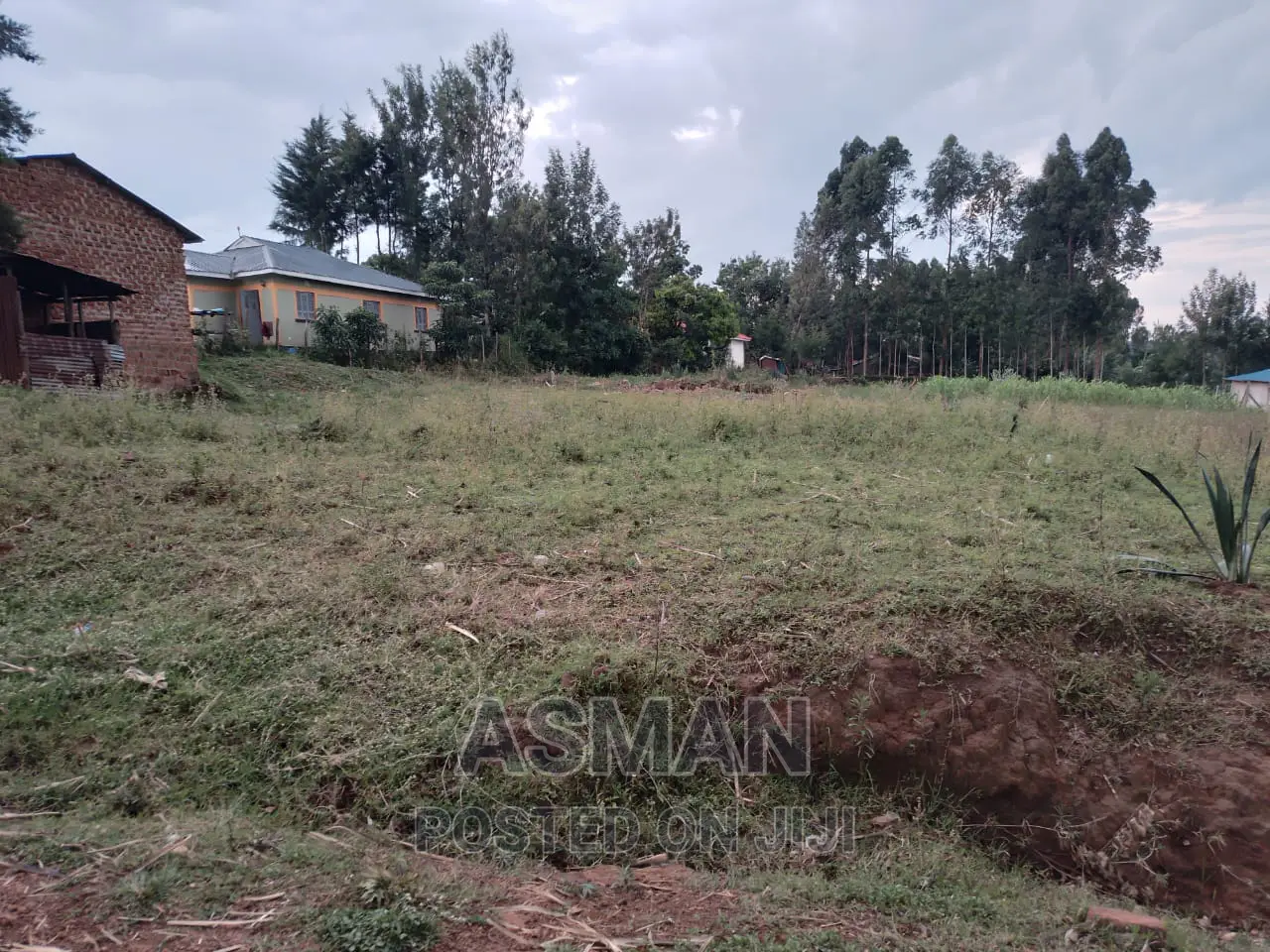 Plot for Sale