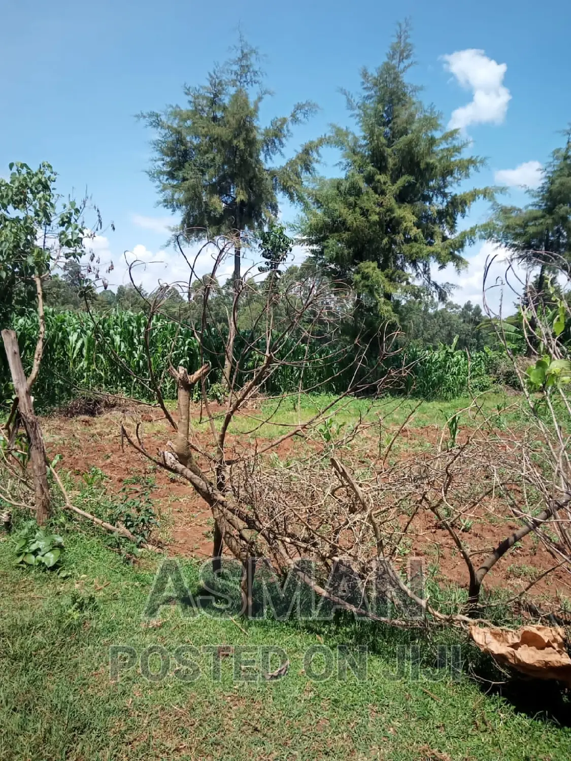 Plot for Sale