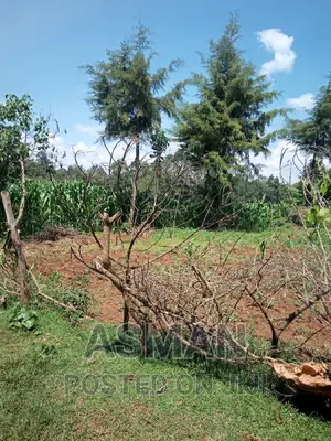Plot for Sale