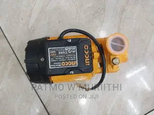 Ingco Water Pump