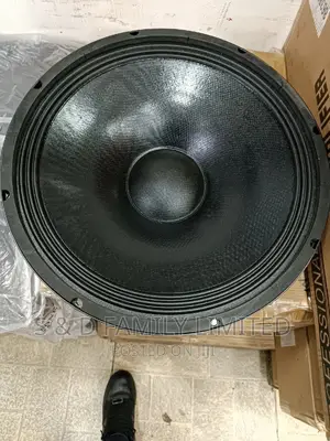 Derwel Midrange Speaker 600 Watts