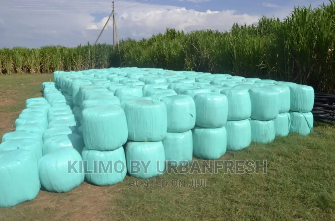 Juncao China Super Grass Baled Silage 50kg