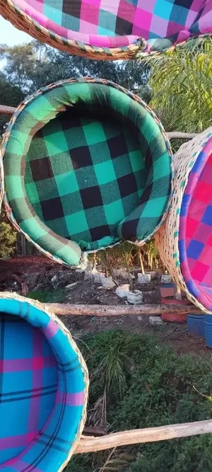 Puppies and Dog Beds
