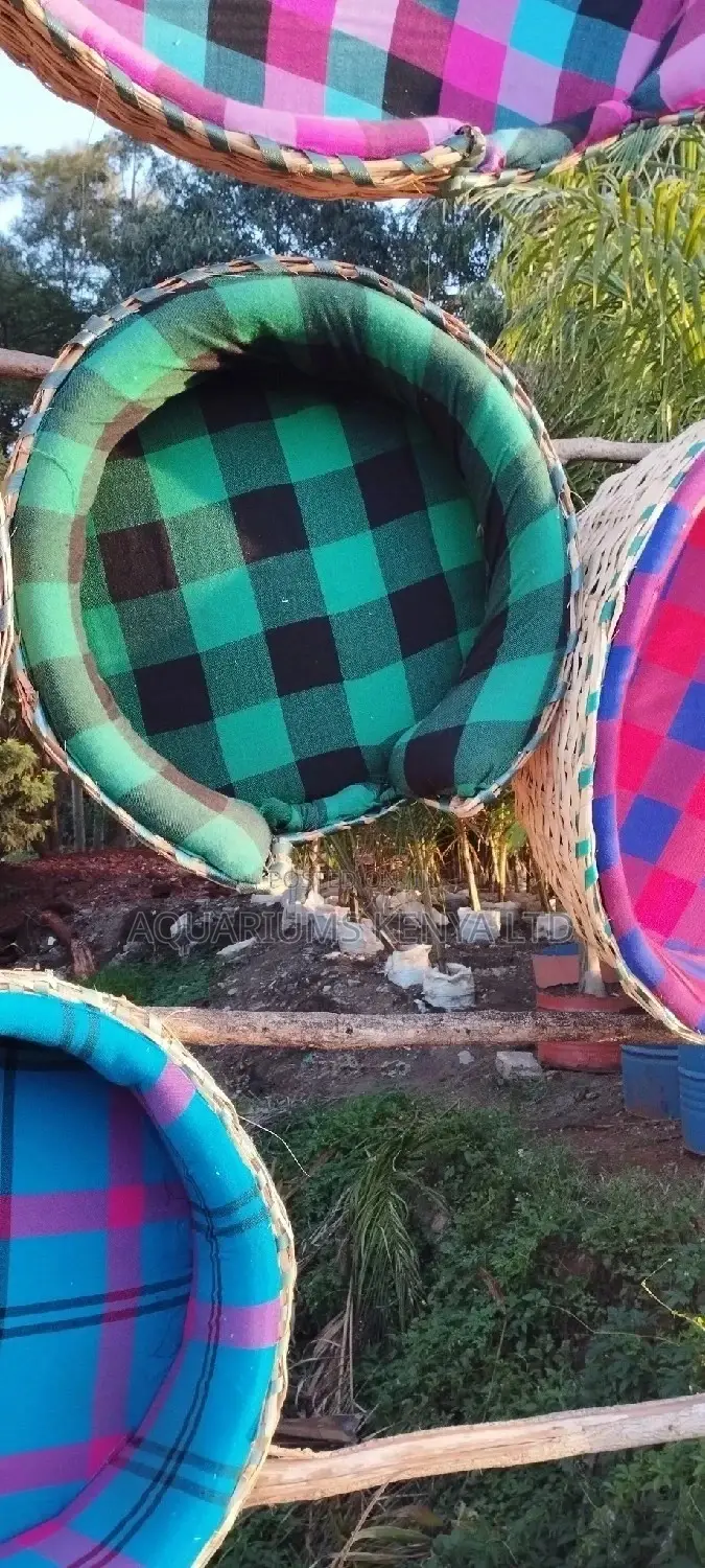 Puppies and Dog Beds