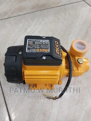 Ingco Water Pump