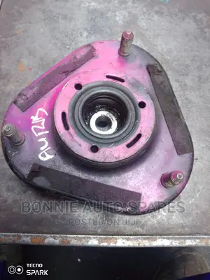 Auris Shock Mounting