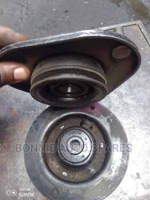 Auris Shock Mounting
