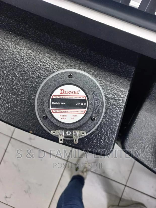 Derwell Tweeter Drive DH100-2 Drive