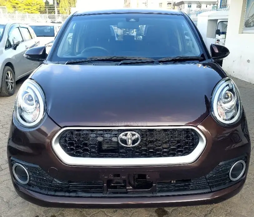 Toyota Passo 2017 Brown