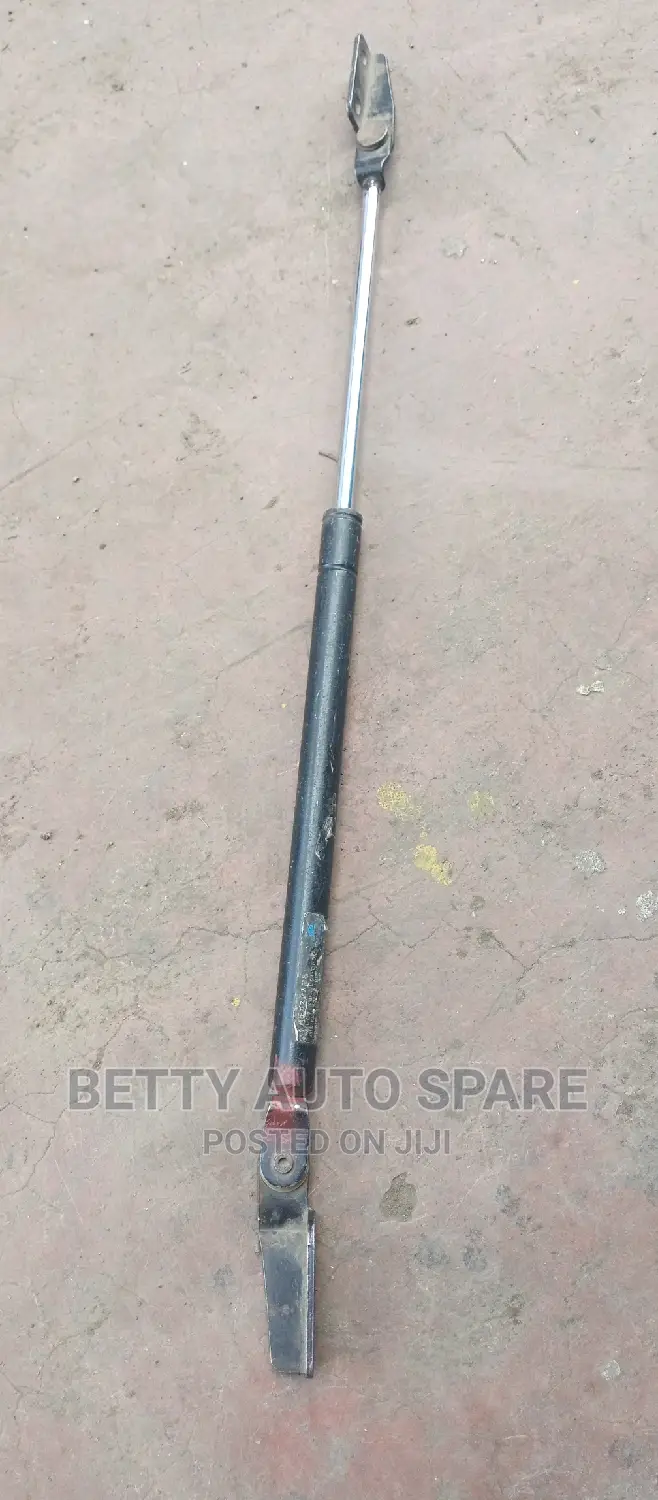 Nissan Fuga Boot Shocks