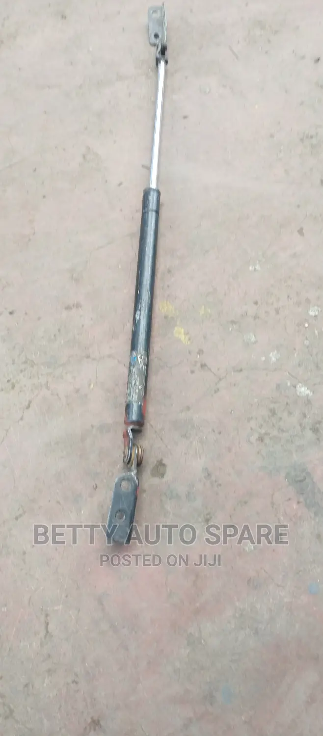 Nissan Fuga Boot Shocks