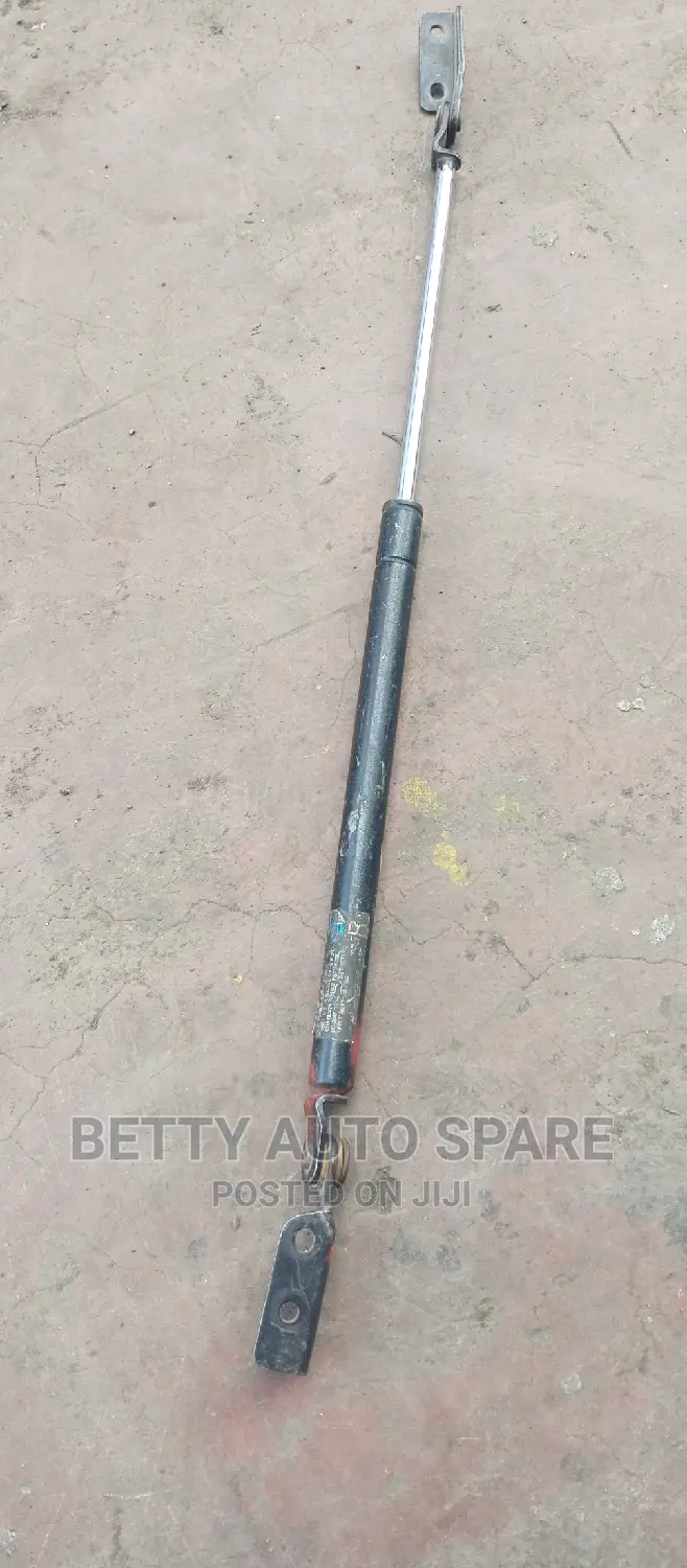 Nissan Fuga Boot Shocks