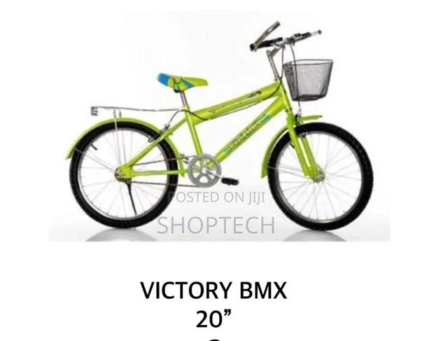 Victory BMX Size 20 Bicycle - main view