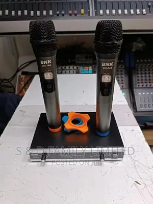 BNK DH-744 Wireless Microphone