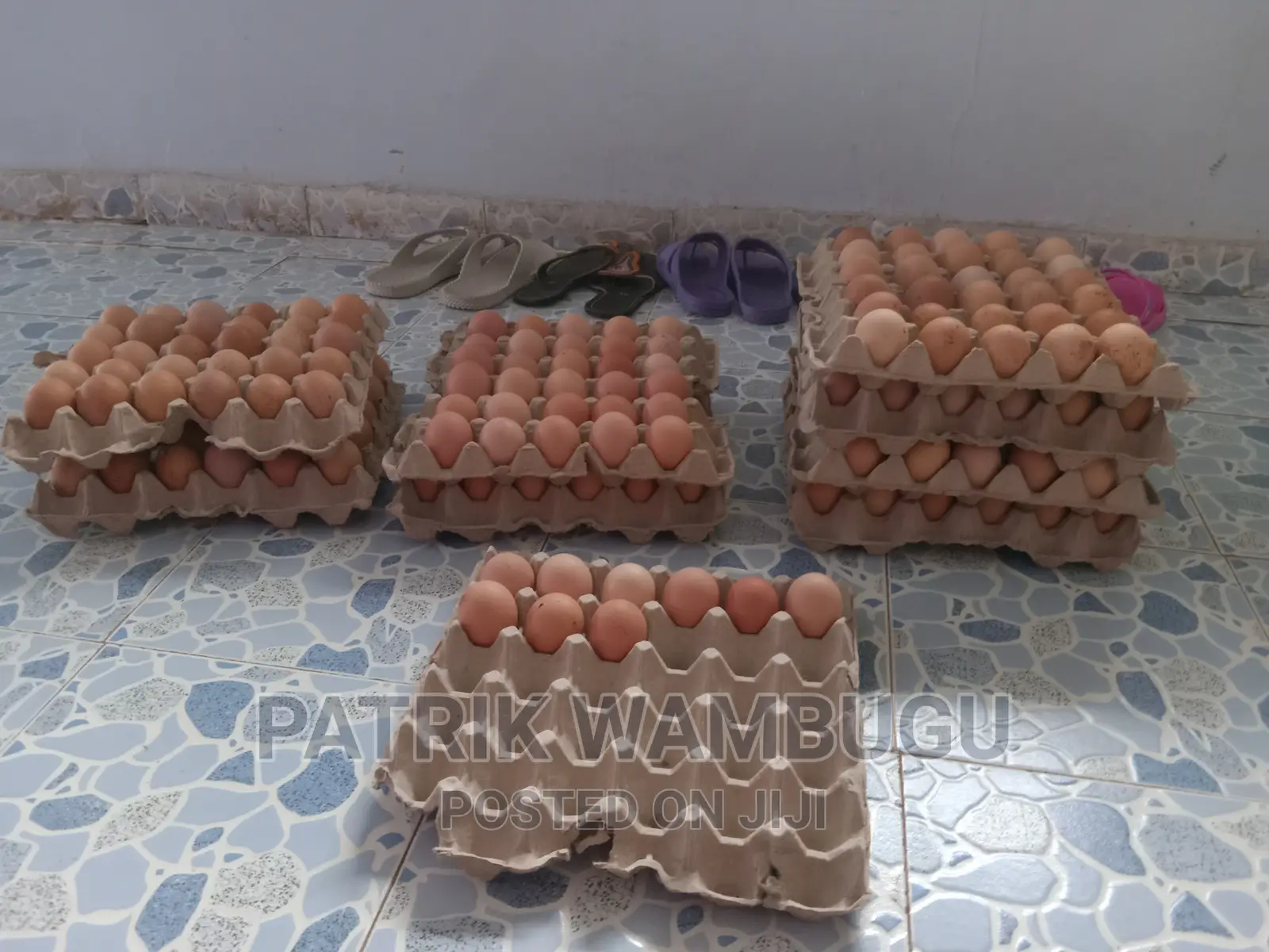 Fertile Improved Kienyeji Eggs