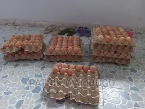 Fertile Improved Kienyeji Eggs
