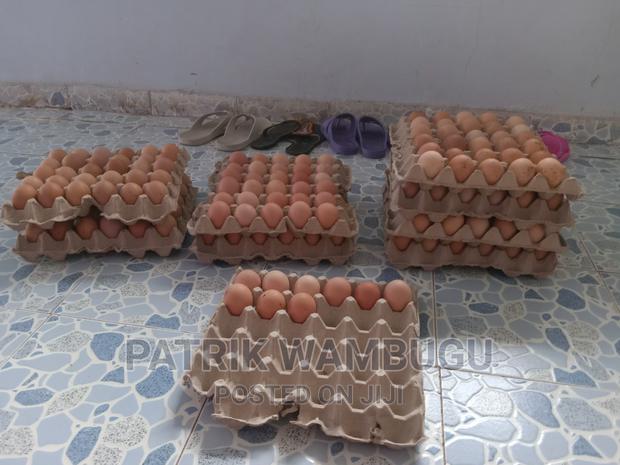 Fertile Improved Kienyeji Eggs - main view
