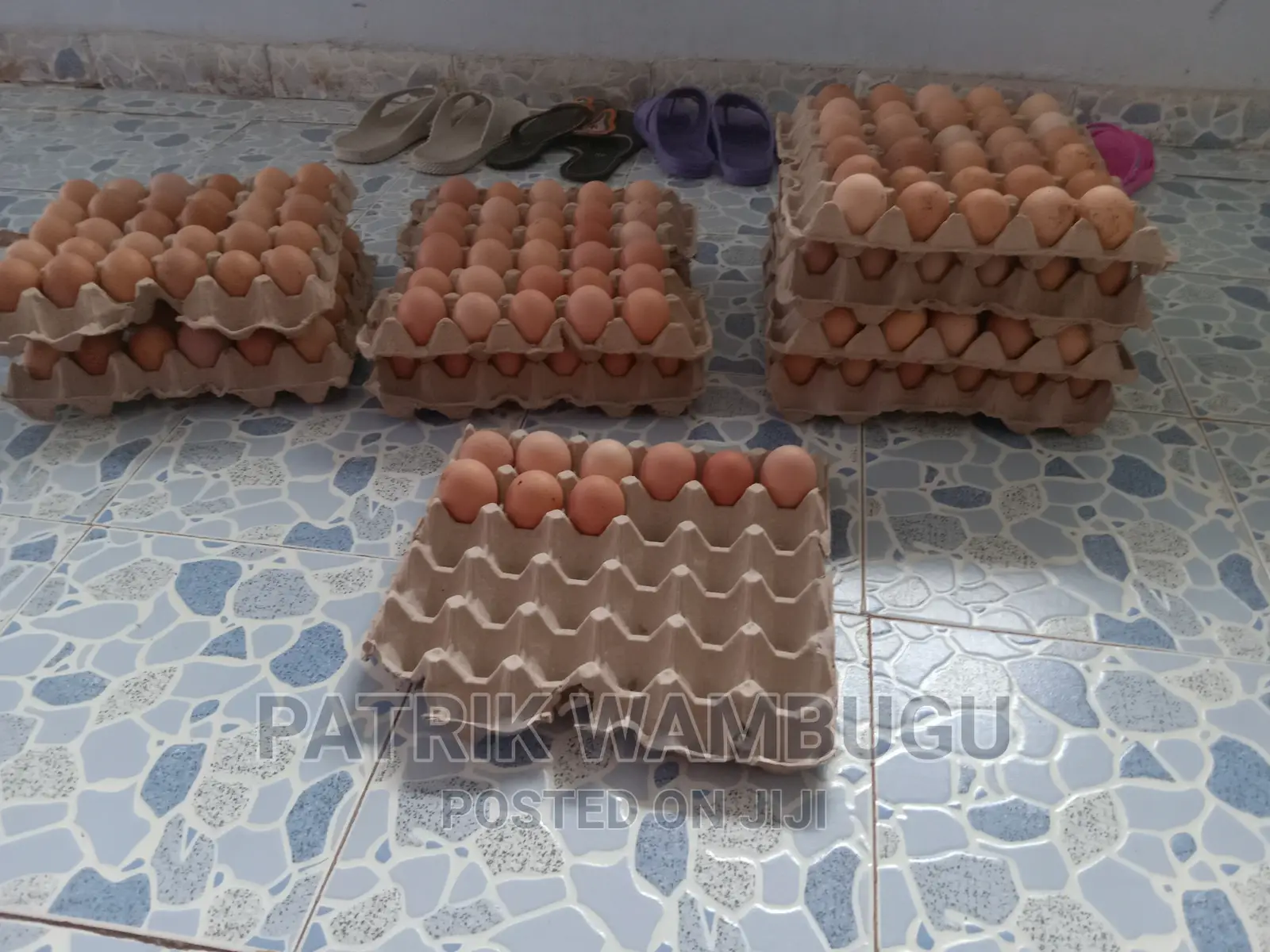 Fertile Improved Kienyeji Eggs