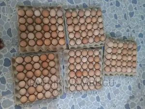 Fertile Improved Kienyeji Eggs