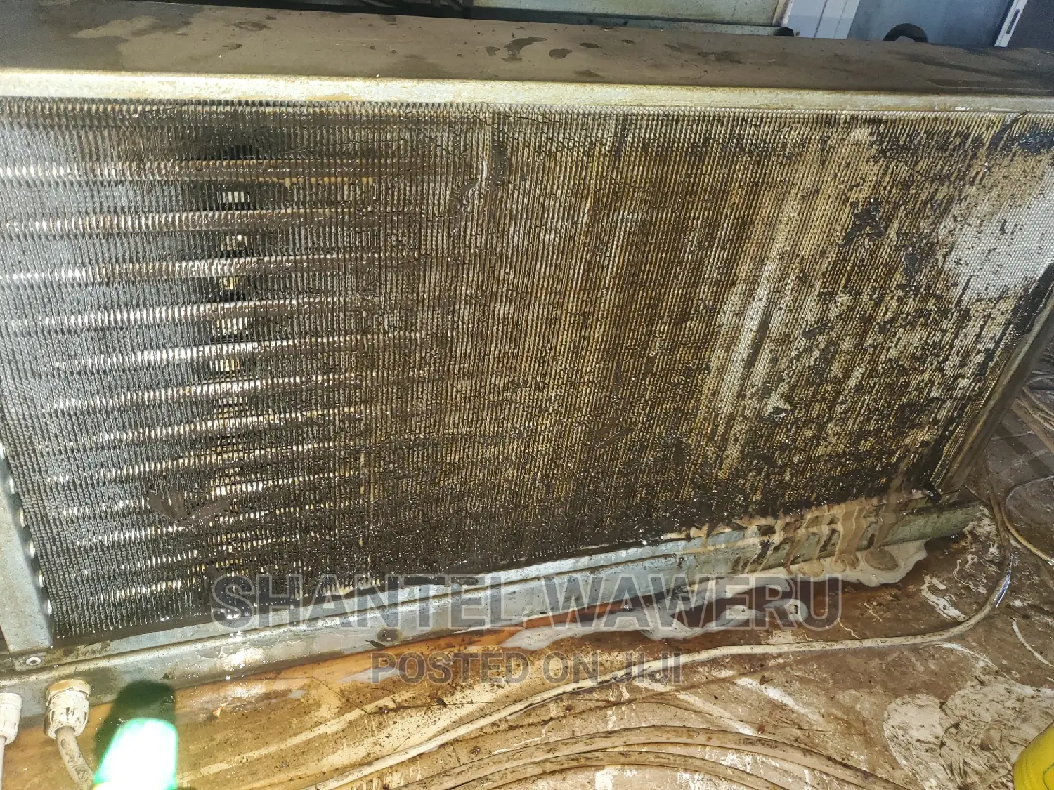 Coldroom Repair and Service