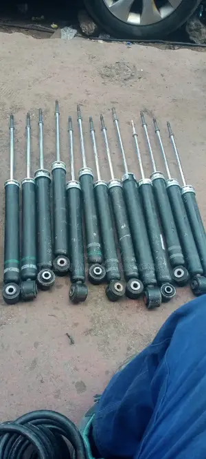 Nissan Cube Rear Shocks