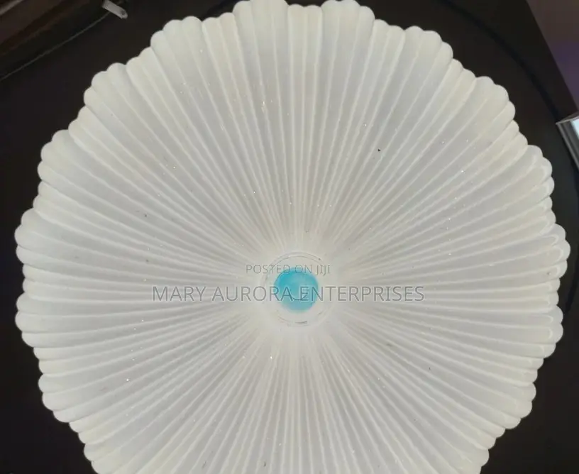 Ceiling Light /Full Moon