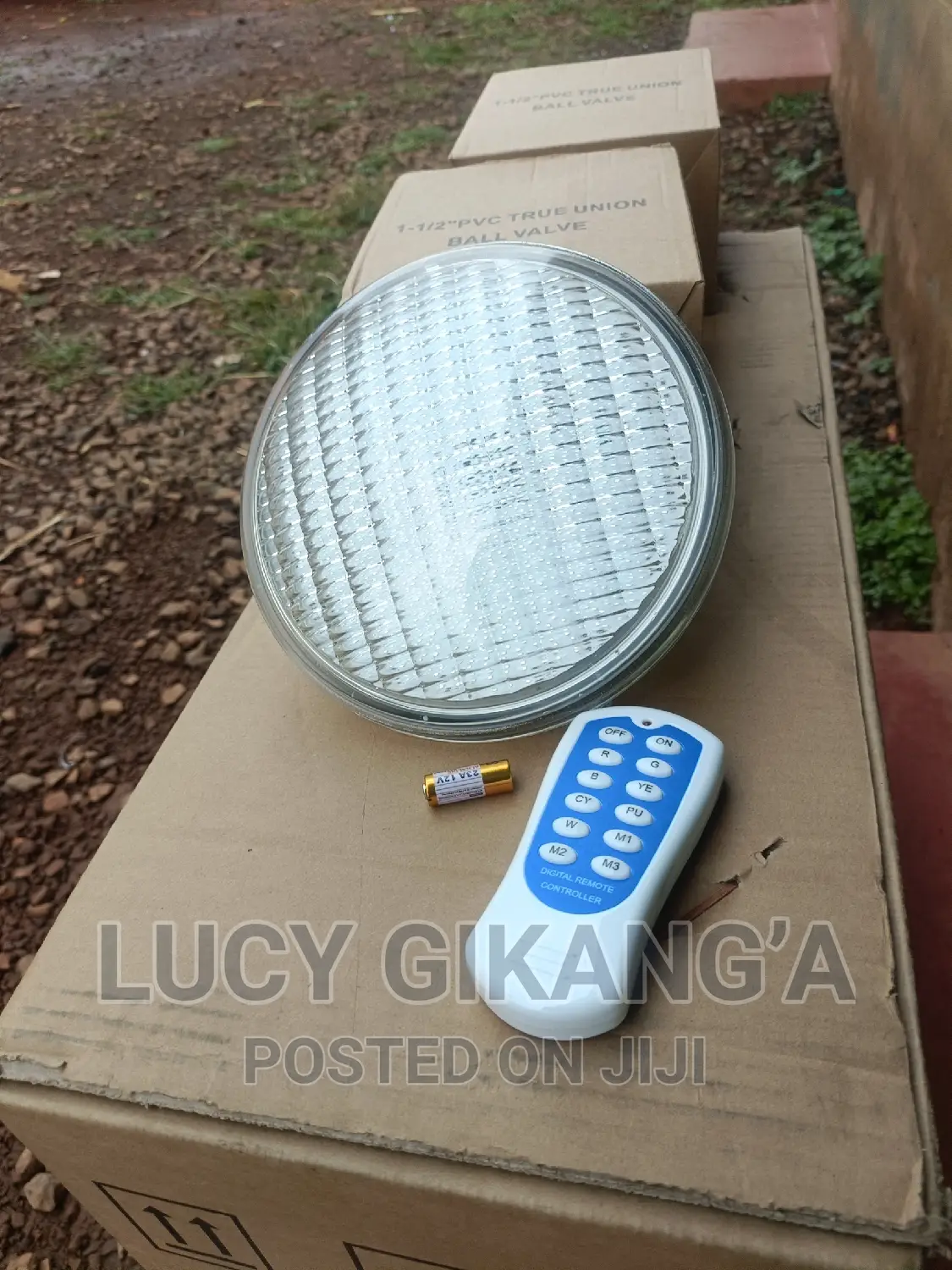 Replacement Swimming Pool Bulb