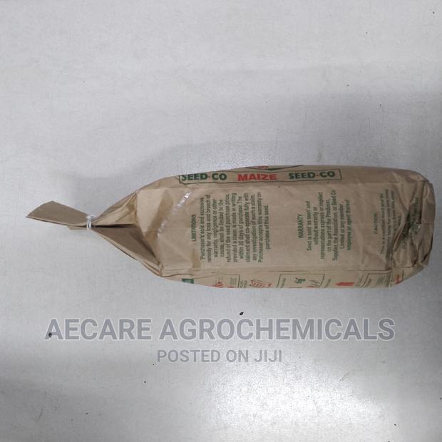 Sc Duma 419 Hybrid Maize Seeds  2kgs (Seed Co) - thumbnail 2