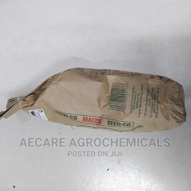 Sc Duma 419 Hybrid Maize Seeds  2kgs (Seed Co) - thumbnail 3