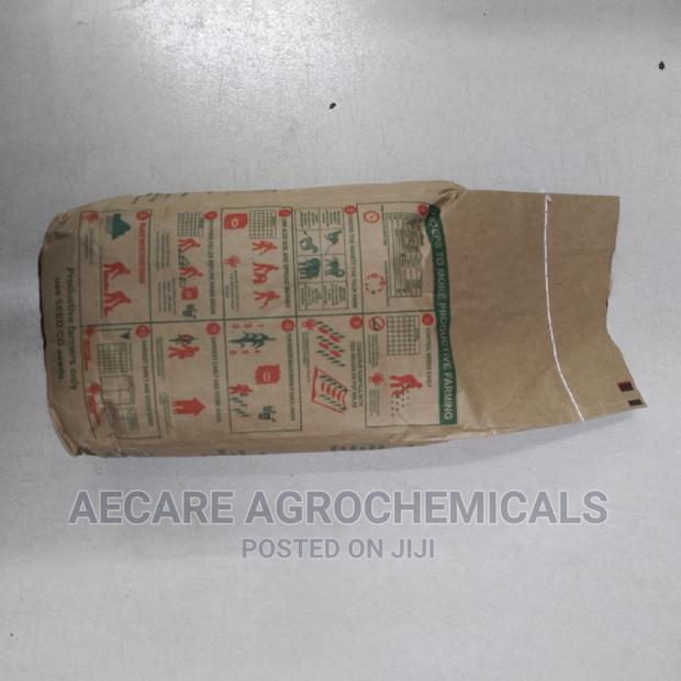 Sc Duma 419 Hybrid Maize Seeds  2kgs (Seed Co) - thumbnail 4