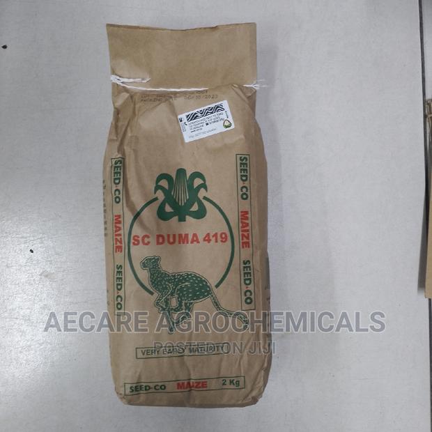 Sc Duma 419 Hybrid Maize Seeds  2kgs (Seed Co)