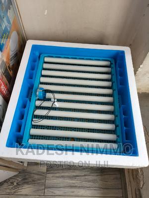 Single Incubator Tray in Stock - thumbnail 2