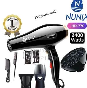 HD 77 Professional Hair Dryer