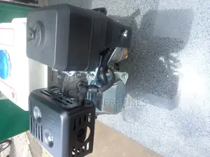 Primo Italy HL290 Petrol Engine