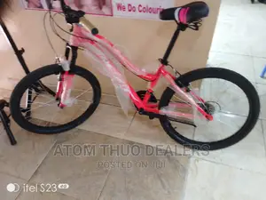 Pink. Size 24 Bike Reset