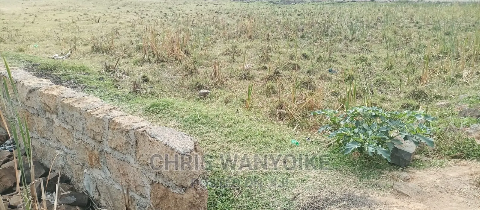 Thika Superhighway Prime Plot, 40x80, Ruiru