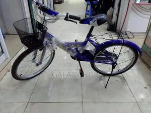 Bicycle Kids Size 20
