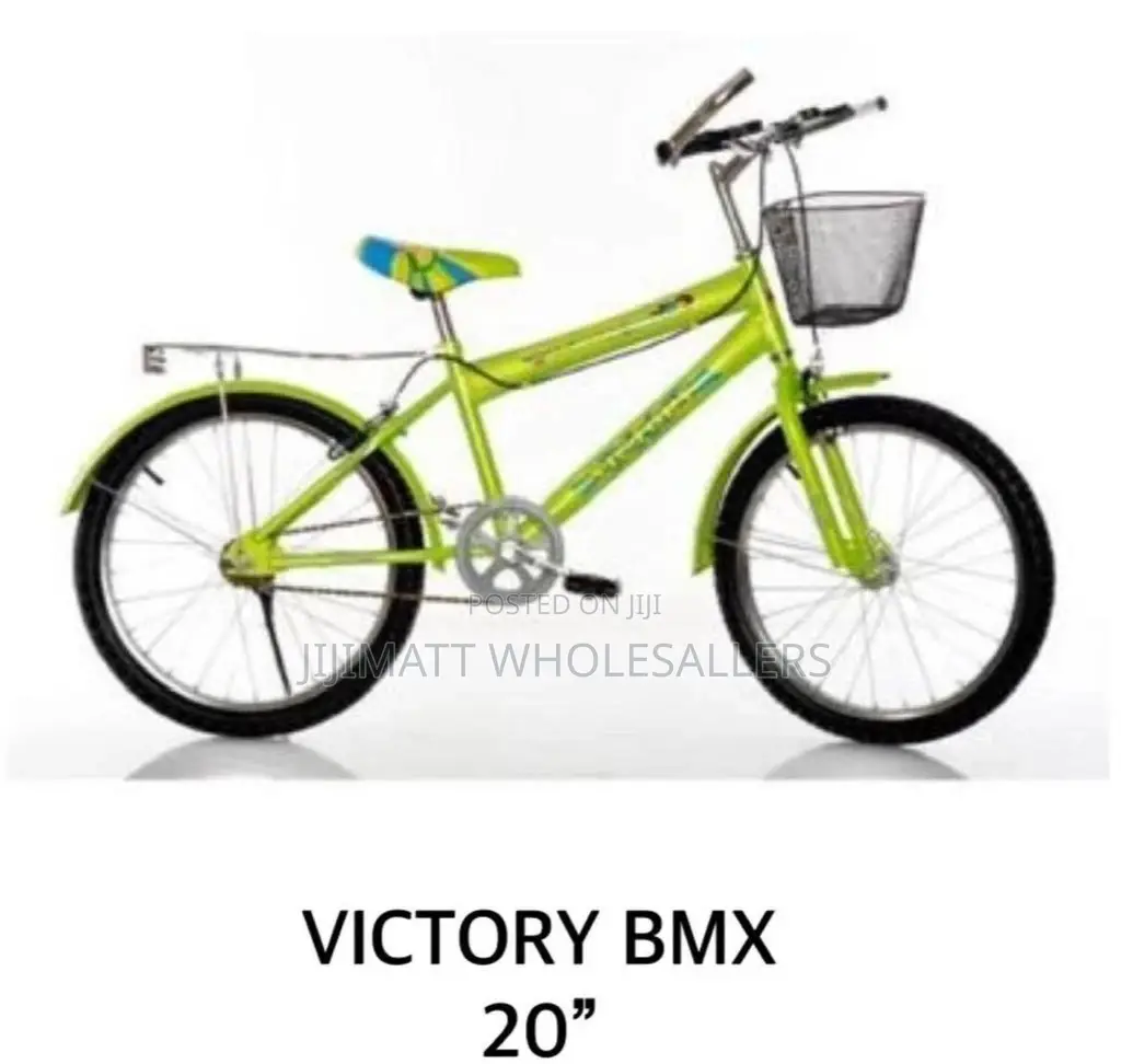 Kids Bike Size 20 (Victory Lion)BMX