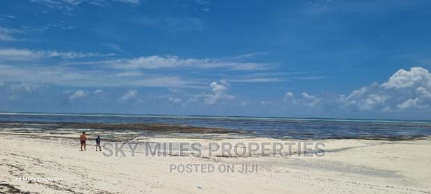 Watamu Jacaranda 6-Acre Beach Plot on Sale - thumbnail 10