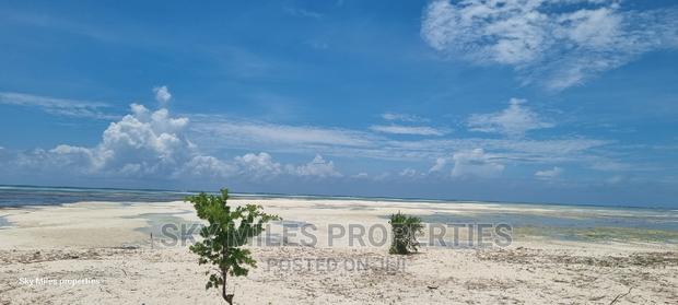 Watamu Jacaranda 6-Acre Beach Plot on Sale - thumbnail 21