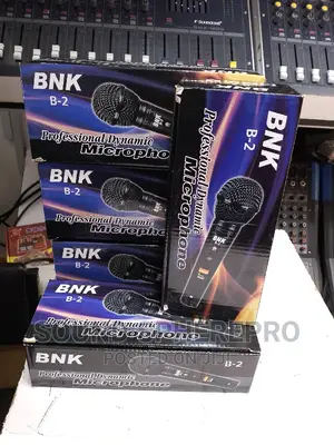 BNK B-2 Dynamic Microphone