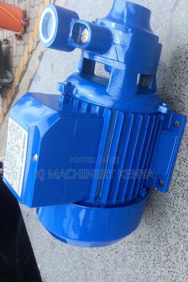 Italy Primo Water Pump - thumbnail 3