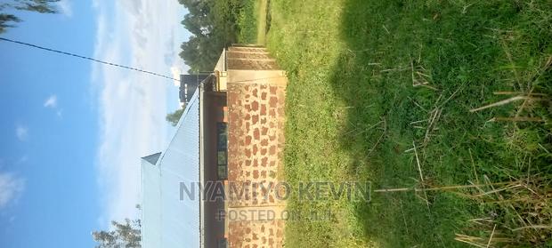 Ugunja Site - main view