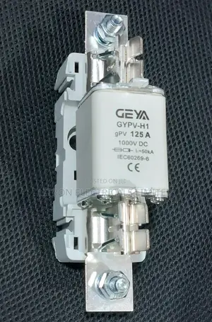 125A DC Fuse.