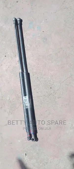 Toyota Filder Boot Shocks