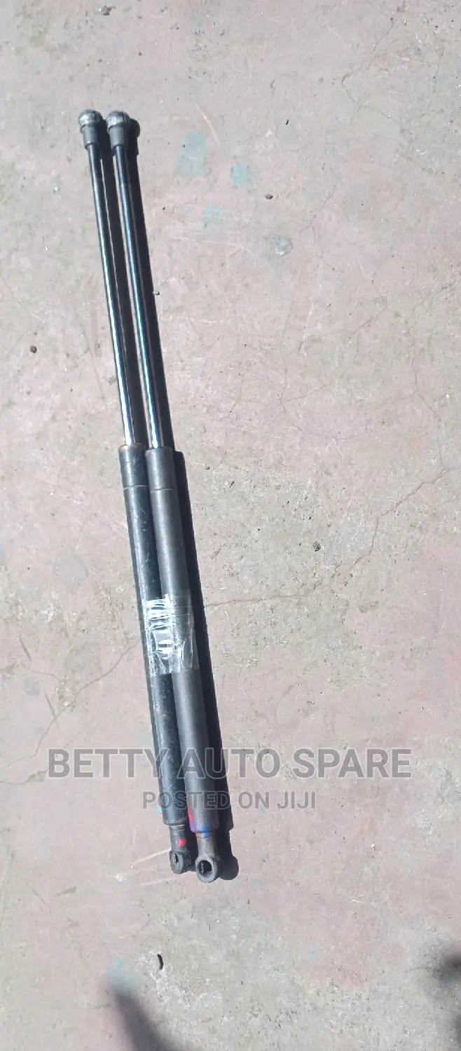 Toyota Filder Boot Shocks