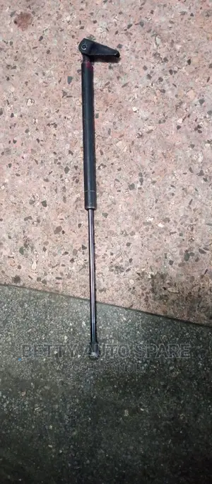 Toyota Filder Boot Shocks