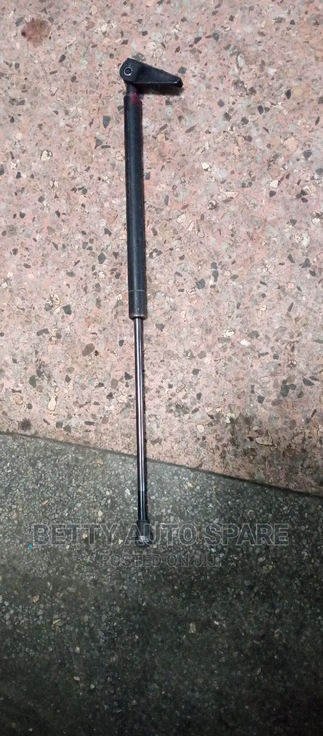 Toyota Filder Boot Shocks
